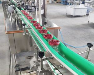 全自動91视频下载入口生產線